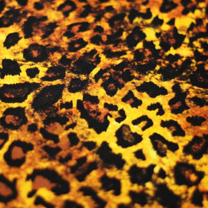 Orange and Brown Leopard Spandex Lycra 60" Wide || Dance Fabric by the Yard